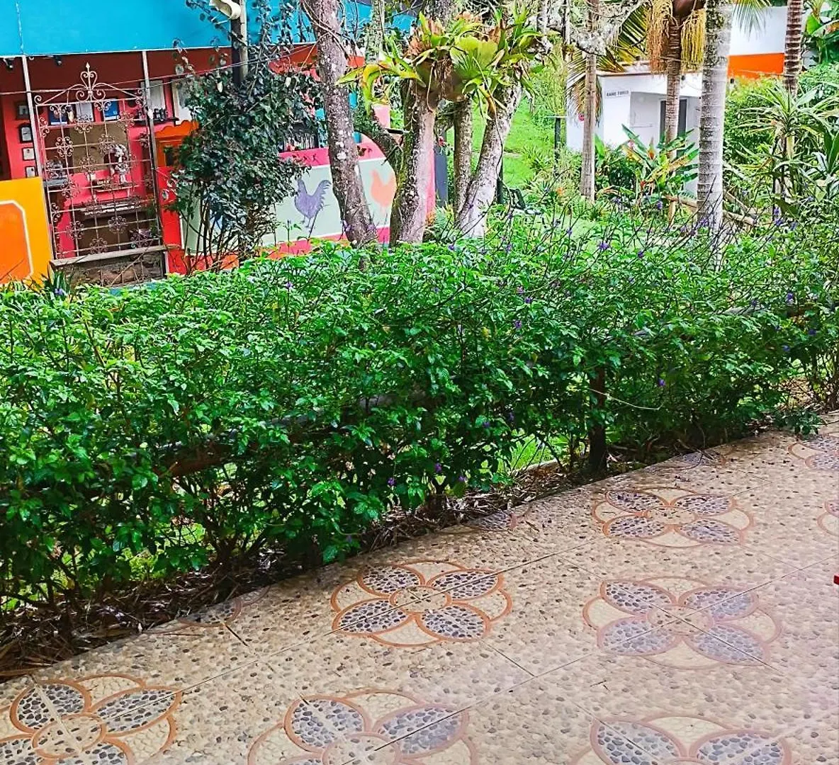 Hotel Marrokos Aeropuerto Jose Maria Cordova Guarne