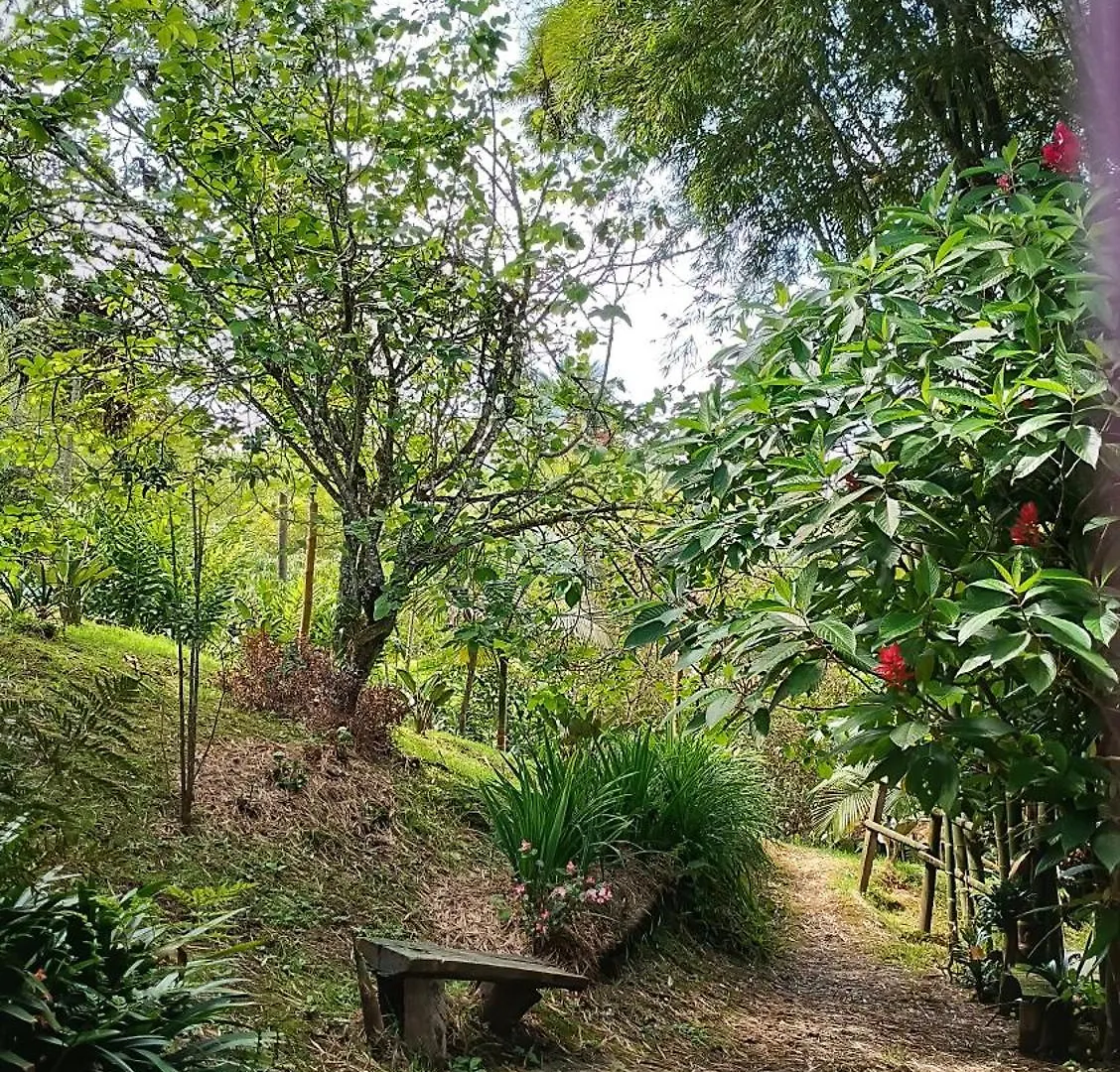 Hotel Marrokos Aeropuerto Jose Maria Cordova Guest house Guarne